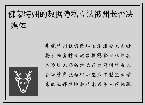 佛蒙特州的数据隐私立法被州长否决 媒体