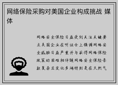 网络保险采购对美国企业构成挑战 媒体