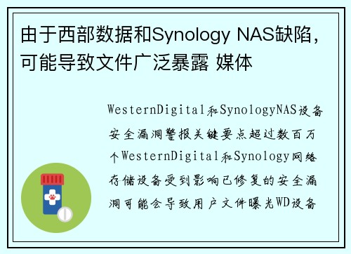 由于西部数据和Synology NAS缺陷，可能导致文件广泛暴露 媒体