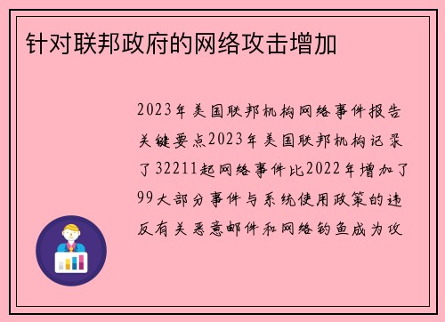 针对联邦政府的网络攻击增加 
